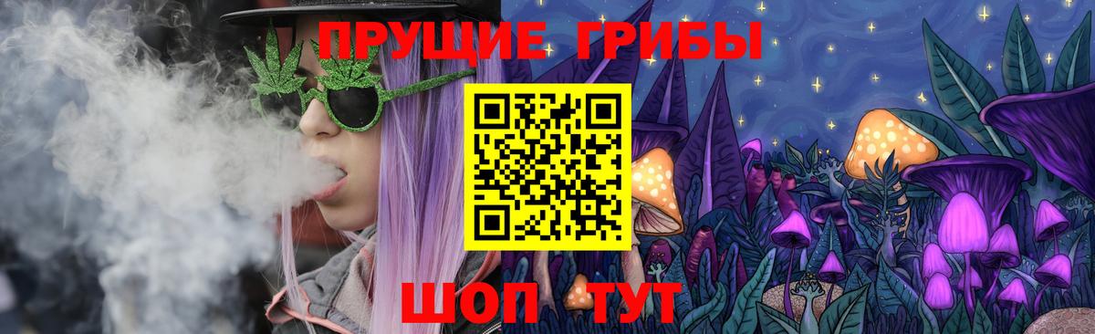 Галлюциногенные грибы Psilocybe Артёмовский